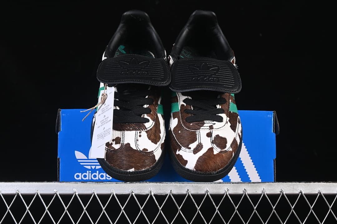 Front view of the pair displayed on a blue shoe box